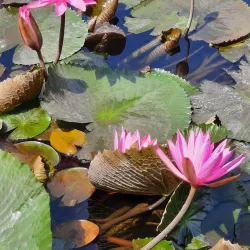 Tugu Malang (Malang Monument) - Malang