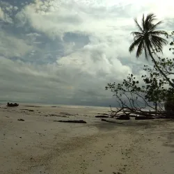 Pulau Adi Island - Merauke