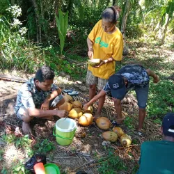 Pulau Adi Island - Merauke