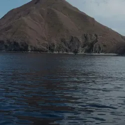 Pulau Adi Island - Merauke