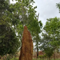 Sota Border Post - Merauke