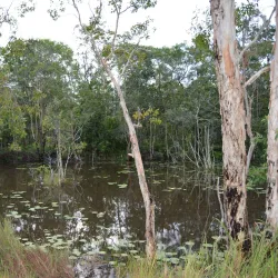 Wasur National Park - Merauke