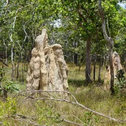 Wasur National Park - Merauke