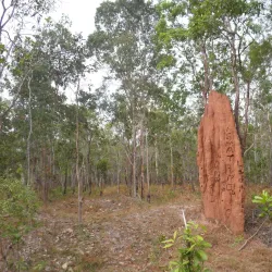 Wasur National Park - Merauke