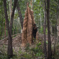 Wasur National Park - Merauke