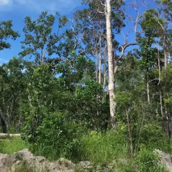 Wasur National Park - Merauke
