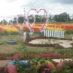 Taman Bunga Metro - Metro