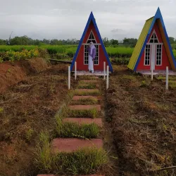 Taman Bunga Metro - Metro