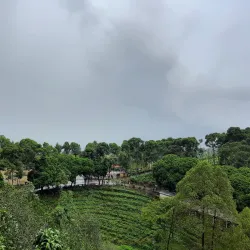 Bukit Jamus (Jamus Hill) - Nganjuk