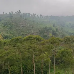 Bukit Jamus (Jamus Hill) - Nganjuk