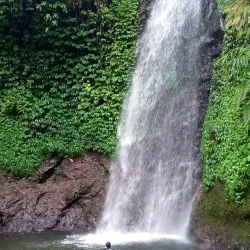 Desa Wisata Ngliman (Ngliman Tourism Village) - Nganjuk