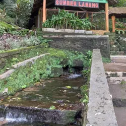 Kebun Teh Jamus (Jamus Tea Garden) - Nganjuk