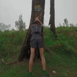 Puncak Nganjuk (Nganjuk Peak) - Nganjuk