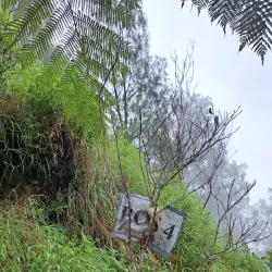 Puncak Nganjuk (Nganjuk Peak) - Nganjuk