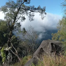 Puncak Nganjuk (Nganjuk Peak) - Nganjuk