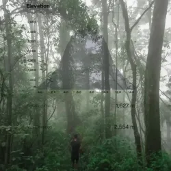 Puncak Nganjuk (Nganjuk Peak) - Nganjuk