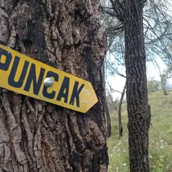 Puncak Nganjuk (Nganjuk Peak) - Nganjuk