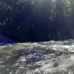 Taman Nasional Bukit Baka-Bukit Raya - Palangkaraya