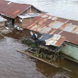 Taman Nasional Bukit Baka-Bukit Raya - Palangkaraya