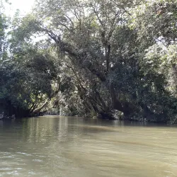 Taman Nasional Bukit Baka-Bukit Raya - Palangkaraya
