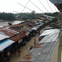 Taman Nasional Bukit Baka-Bukit Raya - Palangkaraya