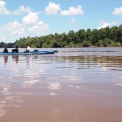 Taman Nasional Sebangau (Sebangau National Park) - Palangkaraya