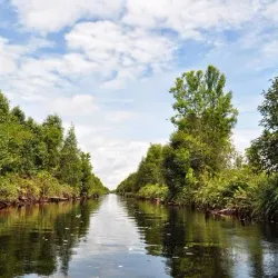 Taman Nasional Sebangau (Sebangau National Park) - Palangkaraya