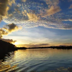 Taman Nasional Sebangau (Sebangau National Park) - Palangkaraya
