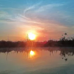 Taman Nasional Sebangau (Sebangau National Park) - Palangkaraya