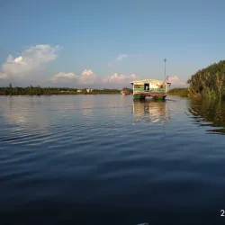Taman Nasional Sebangau (Sebangau National Park) - Palangkaraya