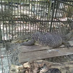 Taman Wisata Alam Bukit Rawi - Palangkaraya