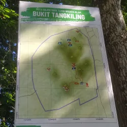 Taman Wisata Alam Bukit Rawi - Palangkaraya