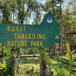 Taman Wisata Alam Bukit Rawi - Palangkaraya