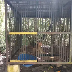 Taman Wisata Alam Bukit Rawi - Palangkaraya