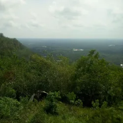 Taman Wisata Alam Bukit Rawi - Palangkaraya