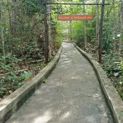Taman Wisata Alam Bukit Rawi - Palangkaraya