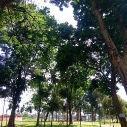 Kemaro Island - Palembang