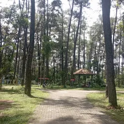 Punti Kayu Nature Park - Palembang