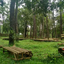 Punti Kayu Nature Park - Palembang