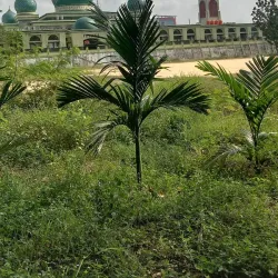 An-Nur Great Mosque - Pekanbaru