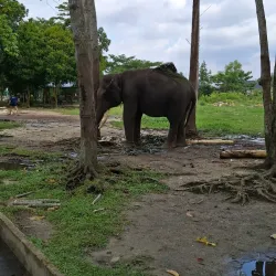 Pekanbaru Zoo - Pekanbaru