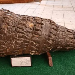 Sultan Syarif Kasim II Museum - Pekanbaru