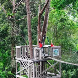 Bukit Bengkirai - Samarinda