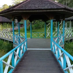 Samarinda Botanical Garden - Samarinda