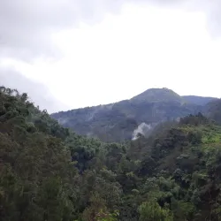 Gedong Songo Temples - Semarang