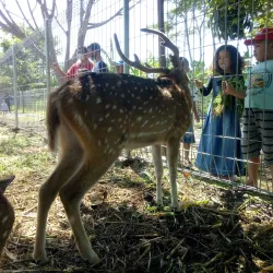 Marina Beach - Semarang