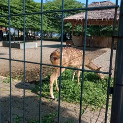 Marina Beach - Semarang