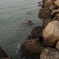 Marina Beach - Semarang