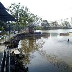 Delta Fishing Port (Pelabuhan Perikanan Pantai Delta) - Sidoarjo