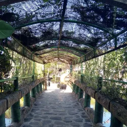 Delta Fishing Port (Pelabuhan Perikanan Pantai Delta) - Sidoarjo